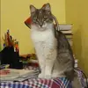 Отзыв от Гульнара Зубкова